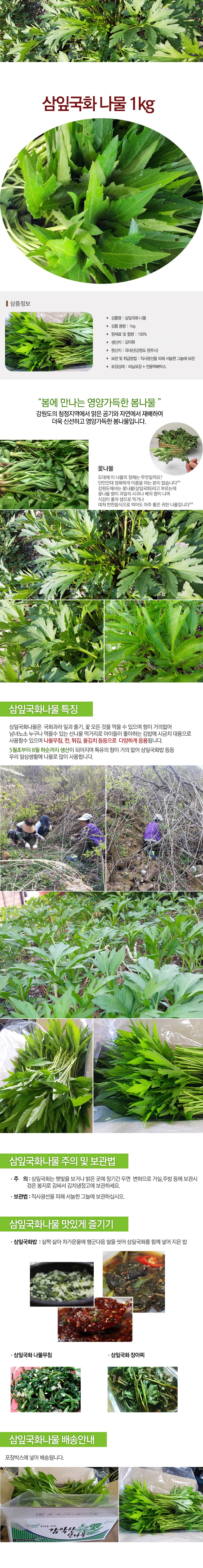 산골네 산골아낙네의 맛있는 밥상 유기농 채소 야채 과일 치악산 산골네 신선초 케일 궁채 깐더덕 산양산삼 샐러리 상추 쌈방울양배추잎 더덕 찰옥수수 블루베리 미흑찰 호박고구마 절임배추 꼬마사과 수미감자 삼잎국화 취나물 곤드레