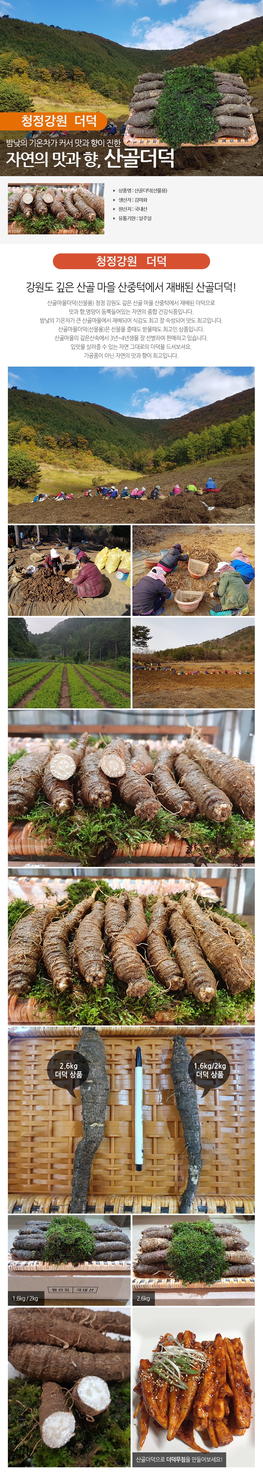 산골네 산골아낙네의 맛있는 밥상 유기농 채소 야채 과일 치악산 산골네 신선초 케일 궁채 깐더덕 산양산삼 샐러리 상추 쌈방울양배추잎 더덕 찰옥수수 블루베리 미흑찰 호박고구마 절임배추 꼬마사과 수미감자 삼잎국화 취나물 곤드레