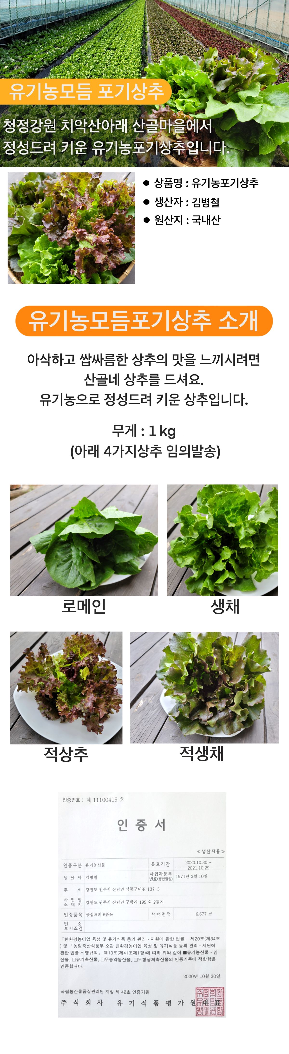 산골네 산골아낙네의 맛있는 밥상 유기농 채소 야채 과일 치악산 산골네 신선초 케일 궁채 깐더덕 산양산삼 샐러리 상추 쌈방울양배추잎 더덕 찰옥수수 블루베리 미흑찰 호박고구마 절임배추 꼬마사과 수미감자 삼잎국화 취나물 곤드레