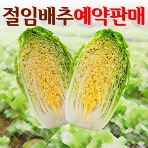 산골네 산골네먹거리