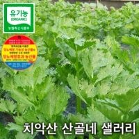 치악산산골네 유기농샐러리(녹즙용) 1kg